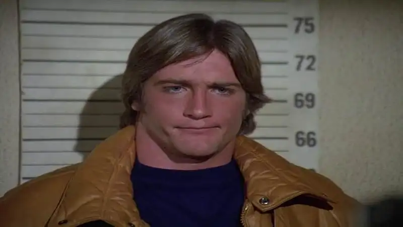 how much is barry van dyke worth